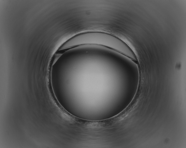 X0000091091093200708271251