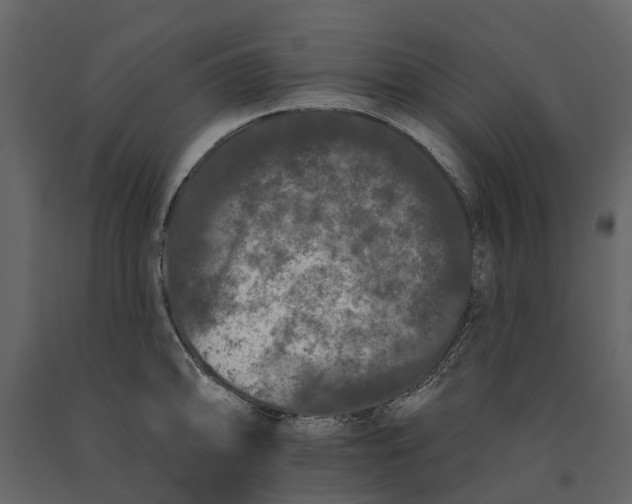 X0000091091094200708271251