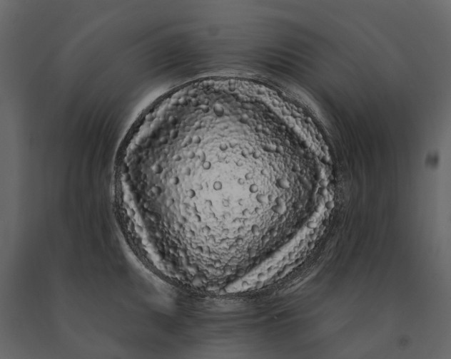 X0000091091095200708271251