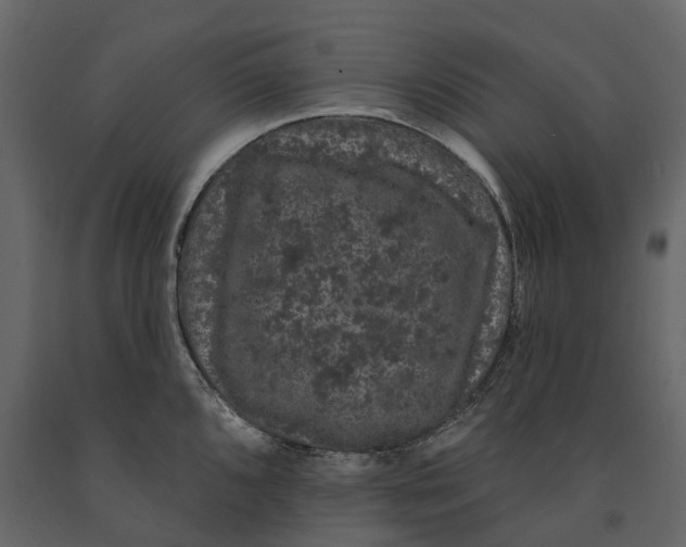 X0000091091096200708271251