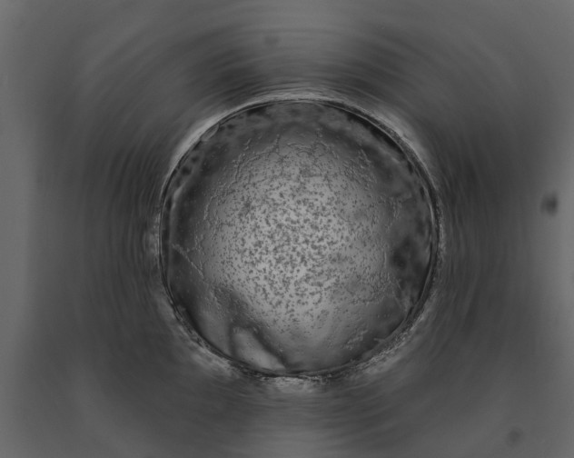 X0000091091097200708271251