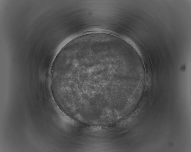 X0000091091098200708271251