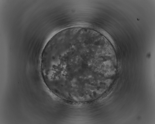 X0000091091099200708271251