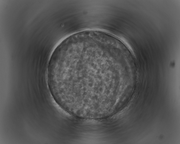 X0000091091100200708271251