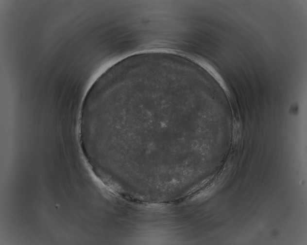 X0000091091101200708271251