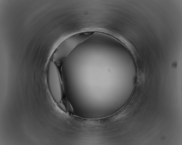 X0000091091102200708271251