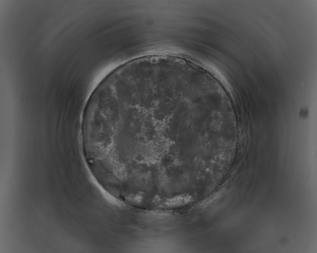 X0000091091103200708271251