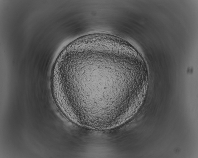 X0000091091104200708271251