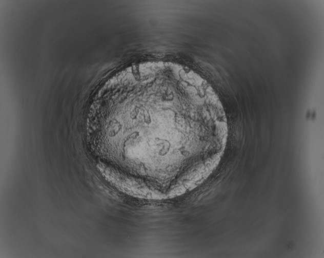 X0000091091105200708271250