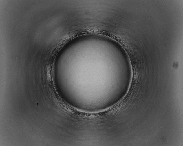 X0000091091106200708271250