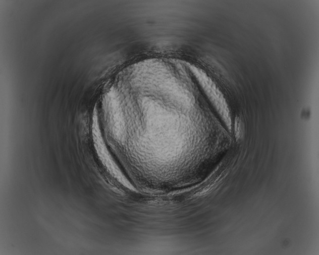 X0000091091107200708271250