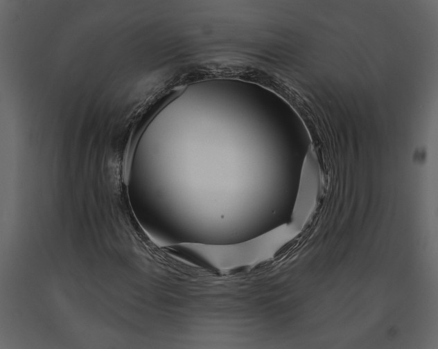 X0000091091108200708271250