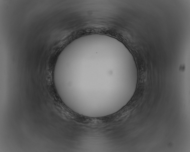 X0000091091109200708271250