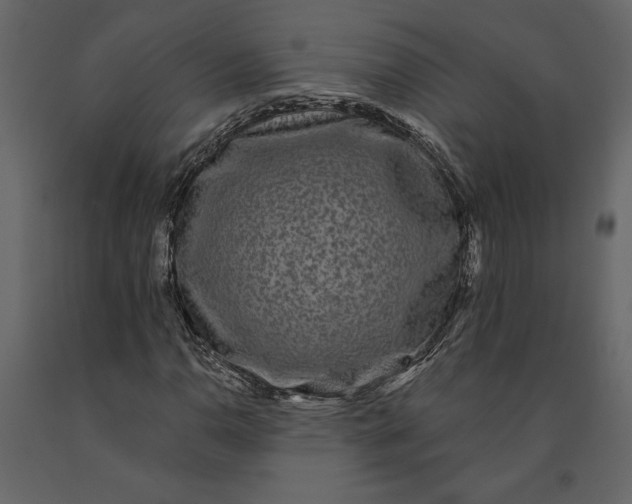 X0000091091110200708271250