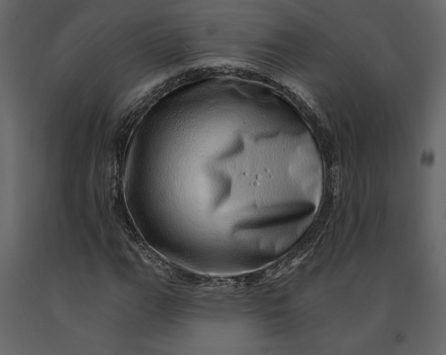 X0000091091111200708271250