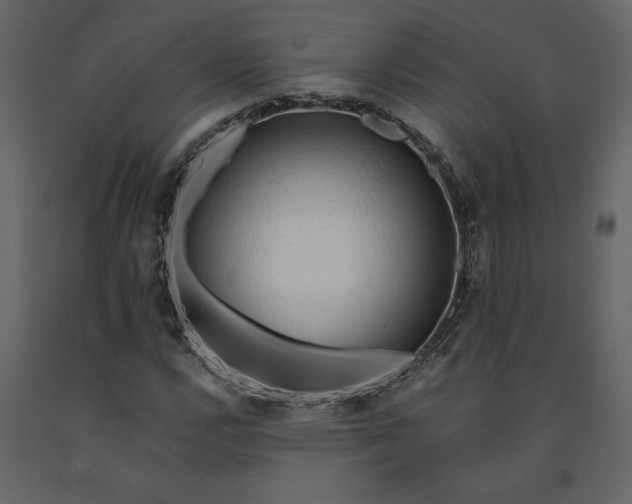 X0000091091112200708271250