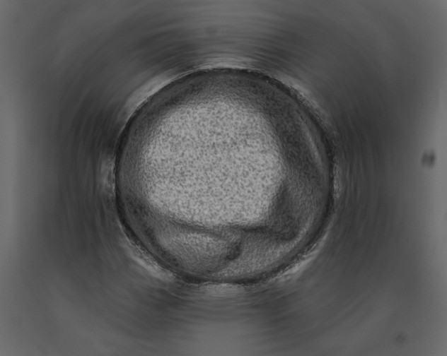 X0000091091113200708271250