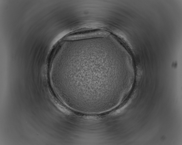 X0000091091114200708271250