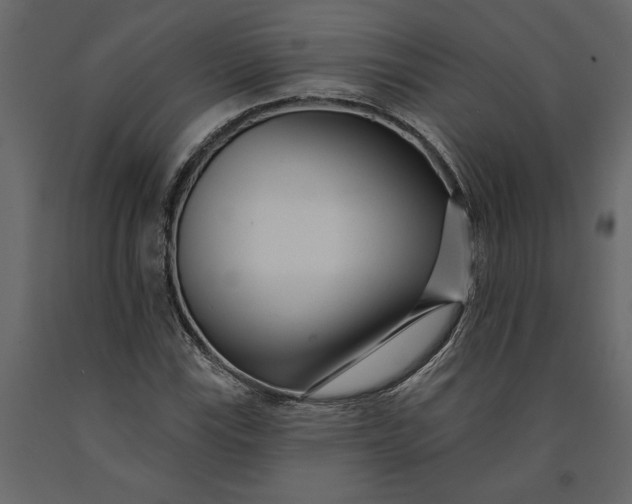 X0000091091115200708271250