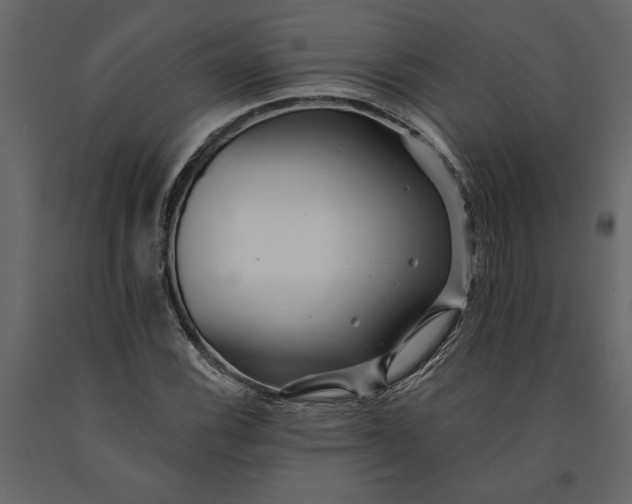 X0000091091116200708271250