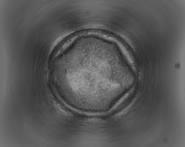 X0000091091117200708271250