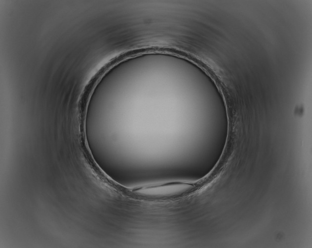 X0000091091118200708271250