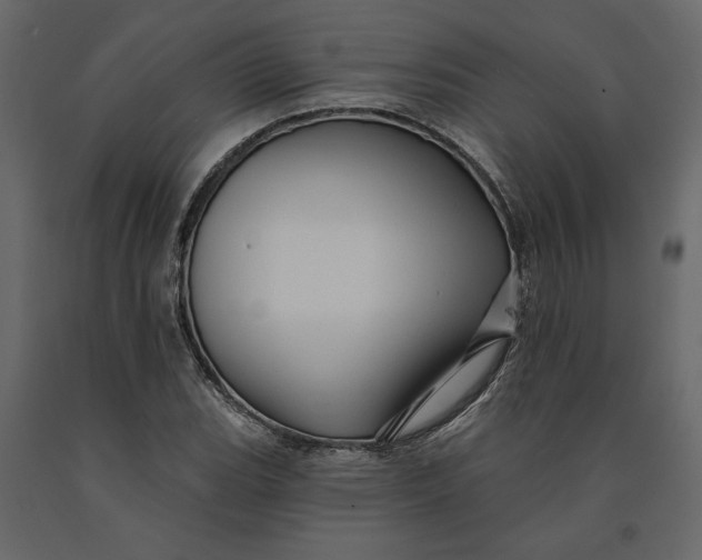 X0000091091119200708271250