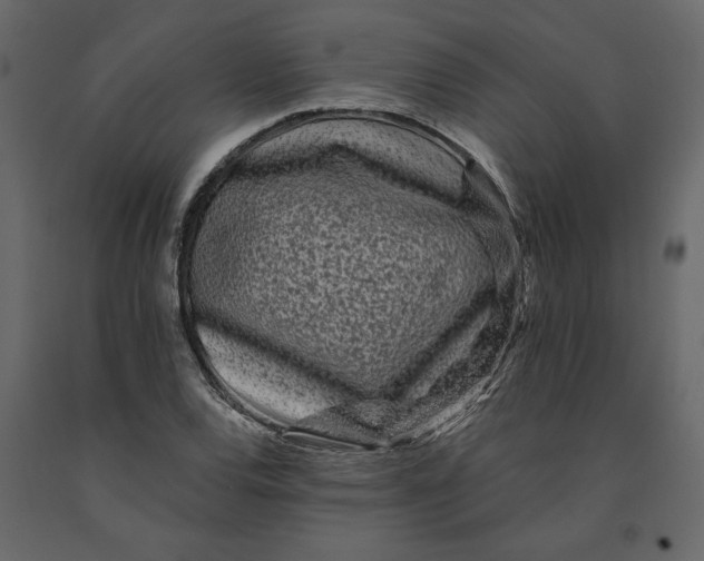 X0000091091120200708271250