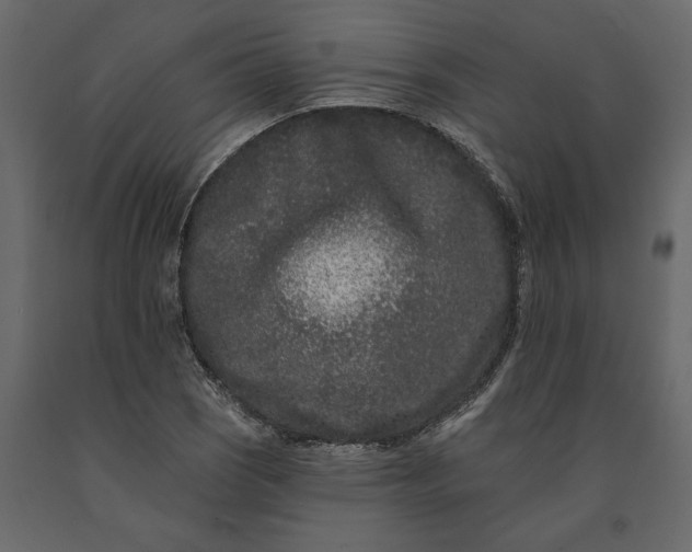 X0000091091121200708271250