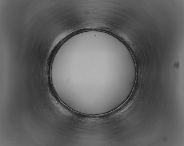 X0000091091122200708271250