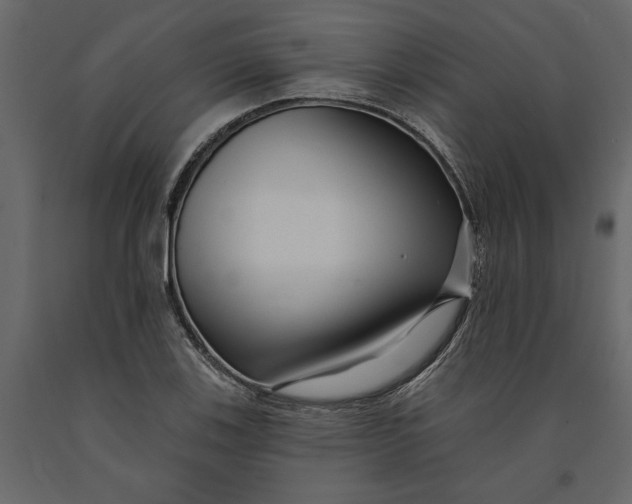 X0000091091123200708271250