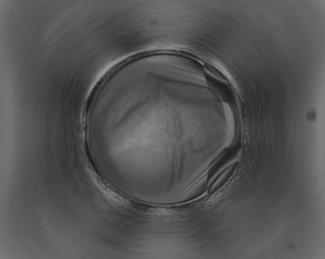 X0000091091124200708271250