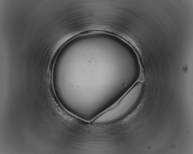 X0000091091125200708271250