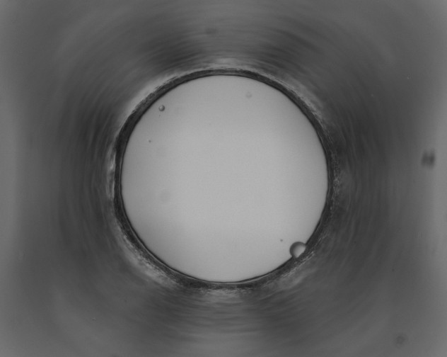 X0000091091126200708271250