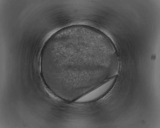 X0000091091127200708271250