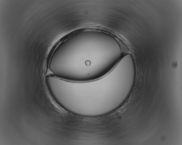 X0000091091128200708271250