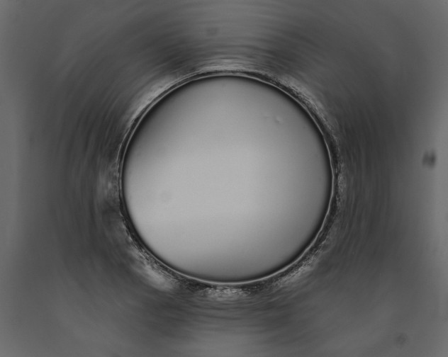 X0000091091129200708271250