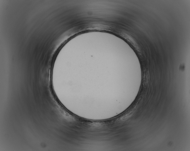 X0000091091130200708271250