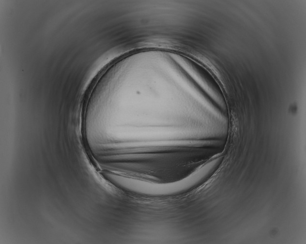 X0000091091131200708271250