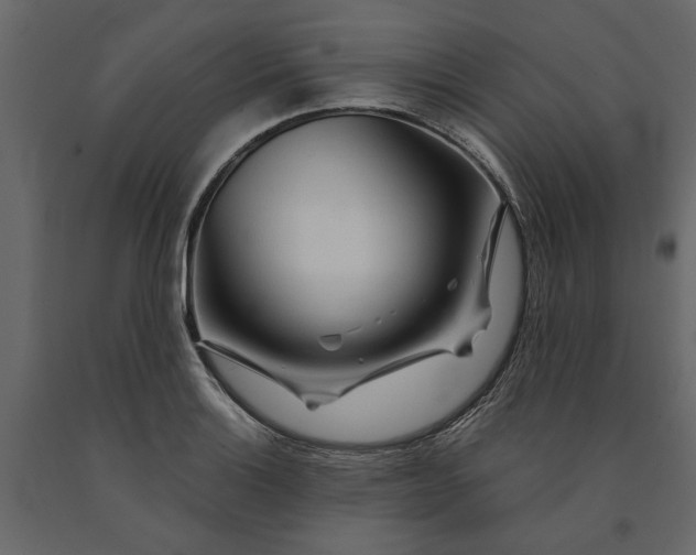 X0000091091132200708271250