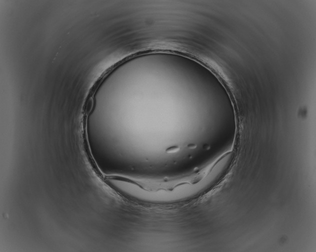 X0000091091133200708271250