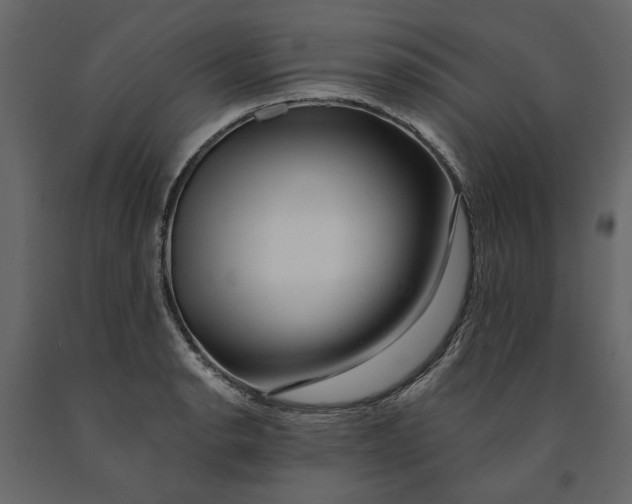 X0000091091134200708271250