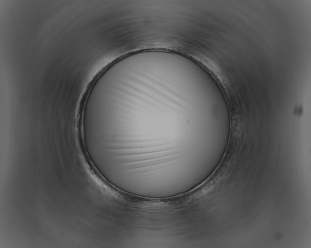 X0000091091135200708271250