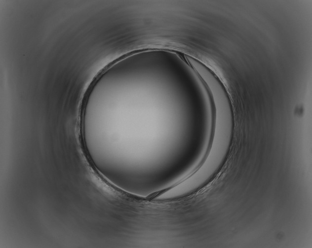 X0000091091136200708271250