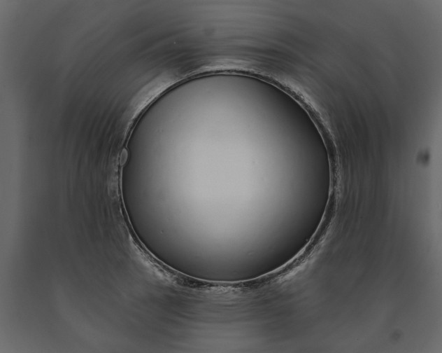 X0000091091137200708271250