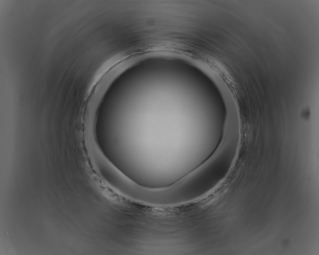 X0000091091138200708271250