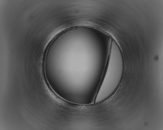 X0000091091139200708271250