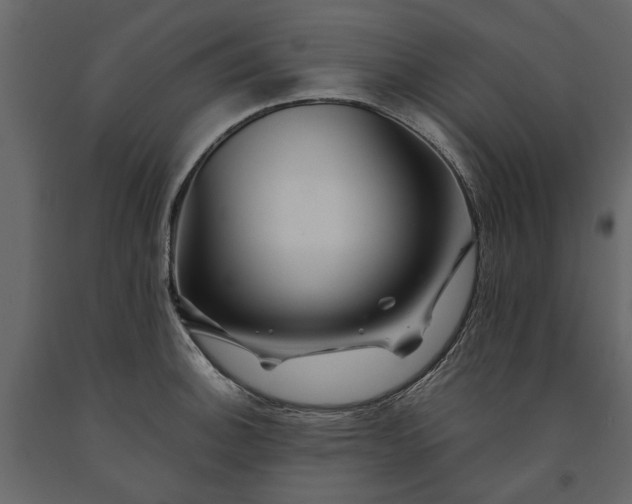 X0000091091140200708271250