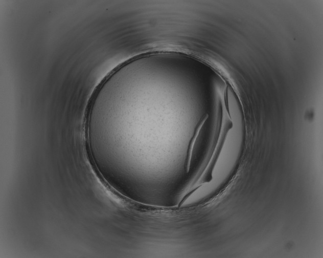 X0000091091141200708271250