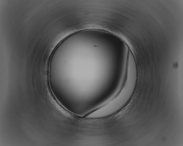 X0000091091142200708271250